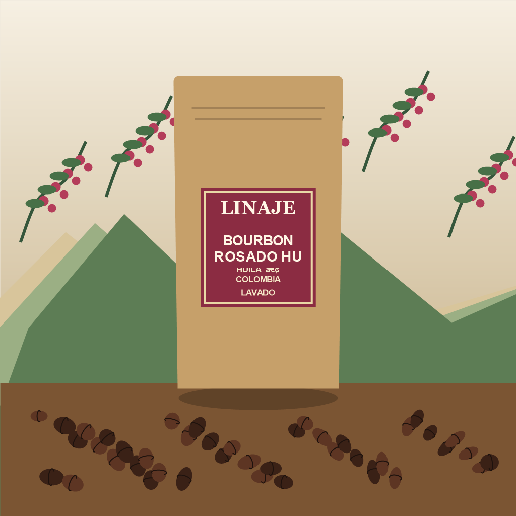 Café Bourbon Rosado Huila