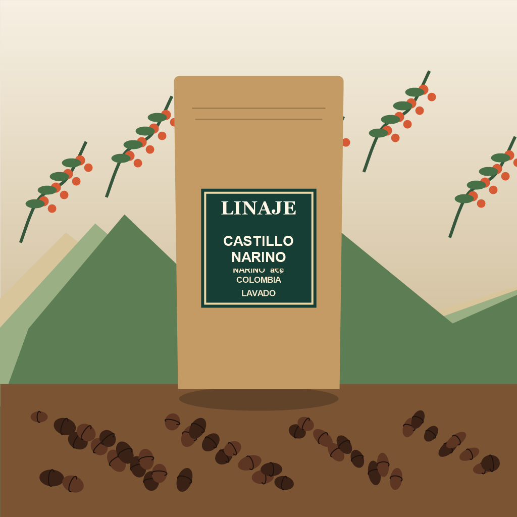 Café Castillo 