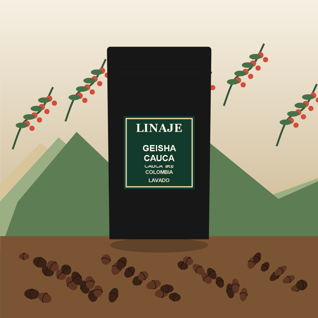 Café Geisha Cauca