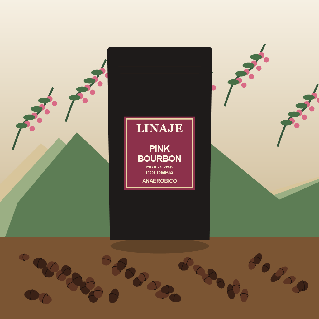 Café Pink Bourbon Huila